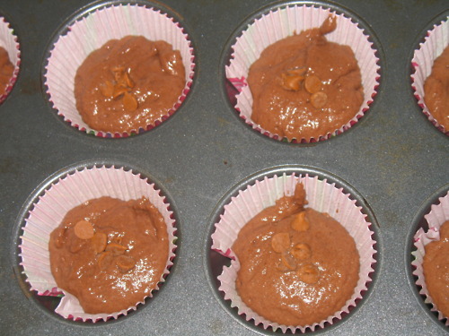 Low Fat Chocolate Muffins