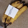 Jana's bananas