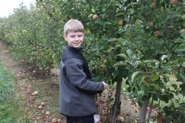 Cherry Hill Apple Orchards