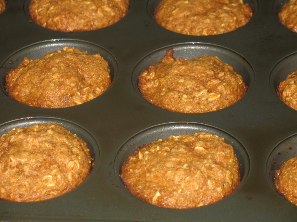 carrot oat muffins