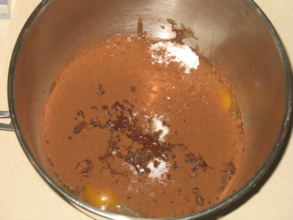 cocoa powder mixture