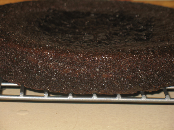 side view of cake