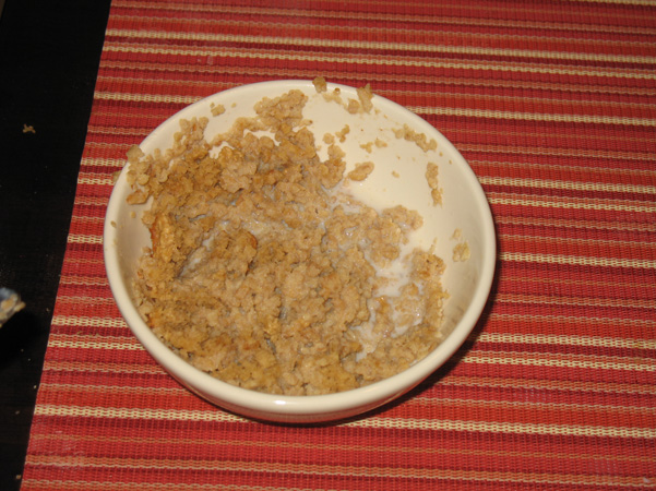 vomity-looking oatmeal