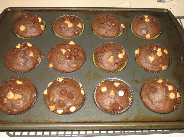 muffins in pan