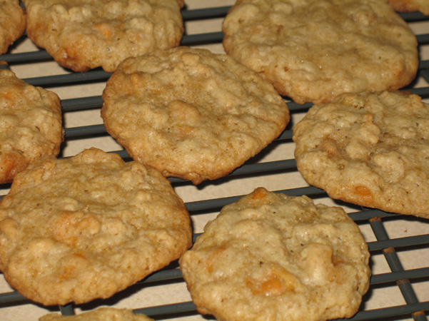 butterscotch cookies