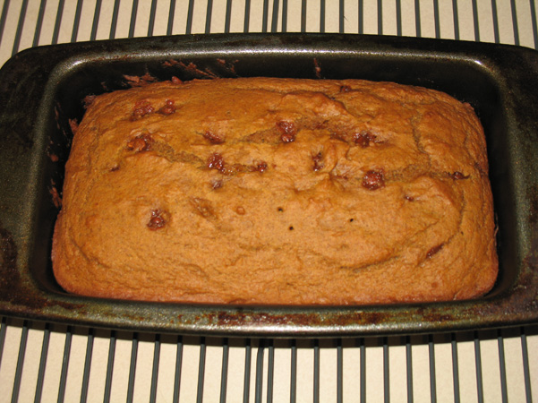 pumpkin bread out of the oven