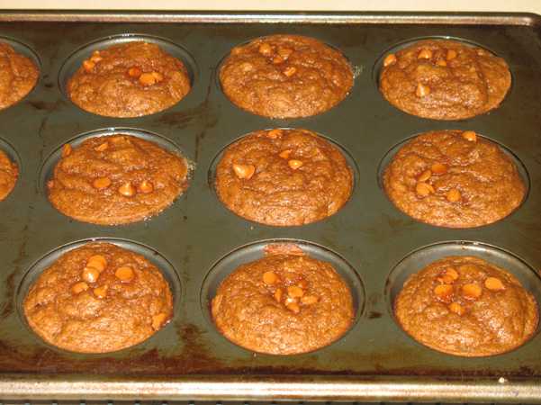 pumpkin muffins out of the oven