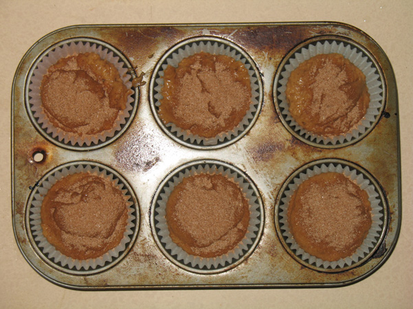 big muffins with cinnamon sugar