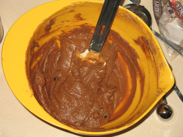 batter with cocoa powder