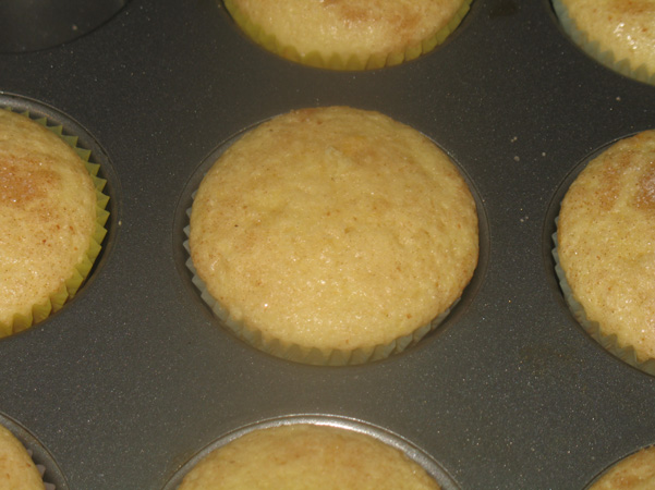 muffin in pan