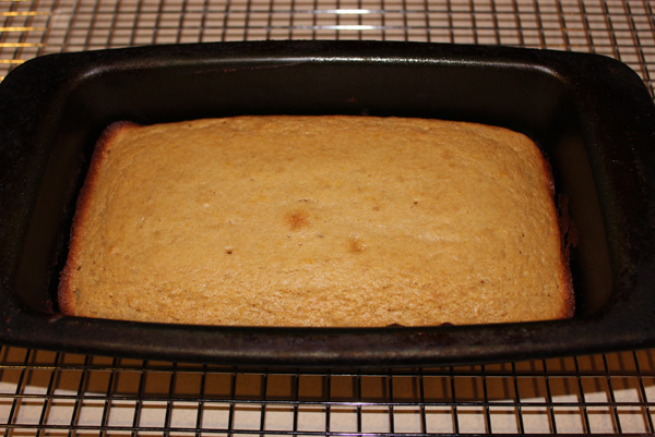 baked cake in pan