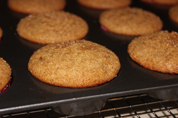 muffin baked in pan