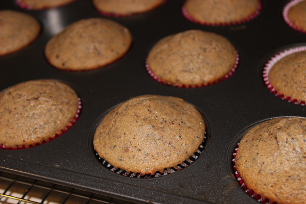 muffins in pan, baked