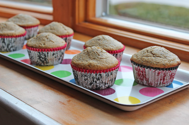 muffins in window