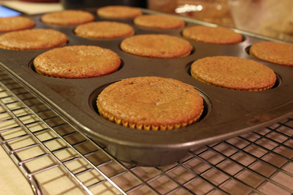 flat muffins
