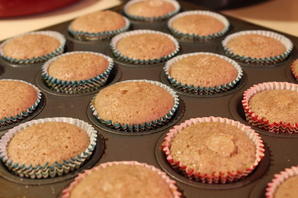 mini muffins, baked