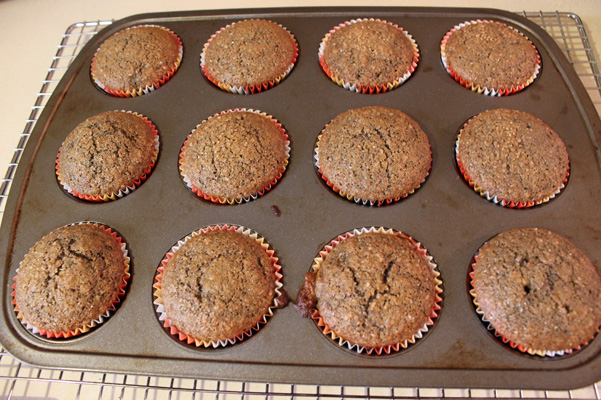 muffins fresh from the oven