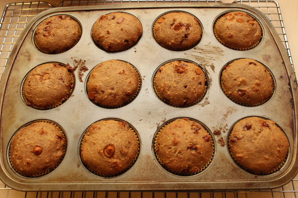 cinnamon muffins, baked, still in pan