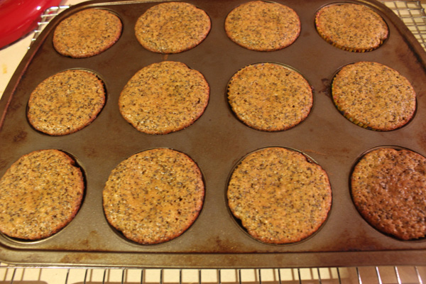muffins in tin