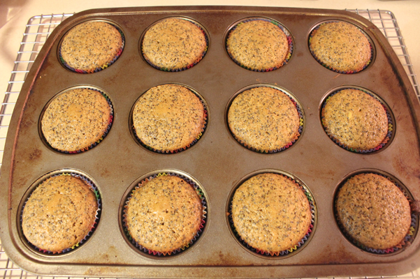 muffins in tin, baked