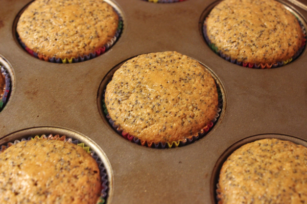 muffins in tin, baked