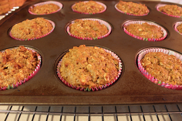 muffins baked in pan