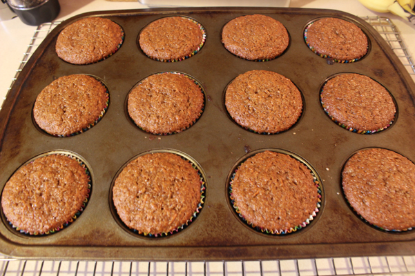 carrot cake muffins in tin, baked