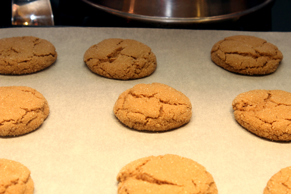 chewy brown sugar cookies on tray