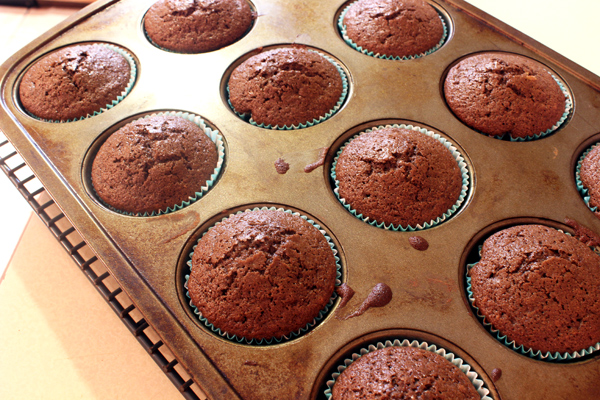 chocolate cupcake-muffins baked in tin